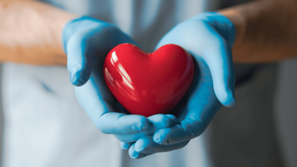 Zwei Hände in blauen medizinischen Handschuhen halten ein rotes Herz aus Porzellan